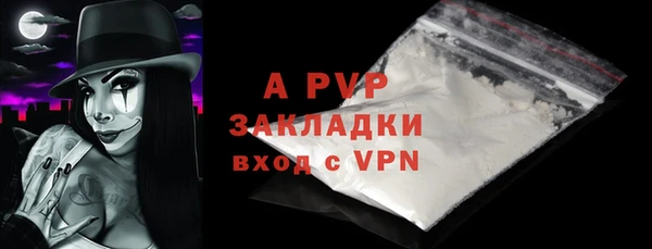 шишки Инта