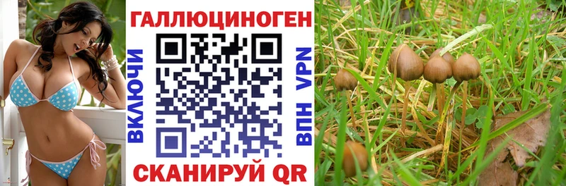 omg сайт  купить наркоту  Сосновоборск  Галлюциногенные грибы MAGIC MUSHROOMS 