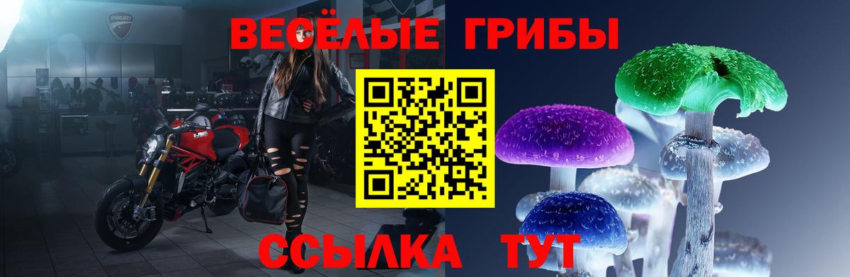 Псилоцибиновые грибы MAGIC MUSHROOMS Сосновоборск