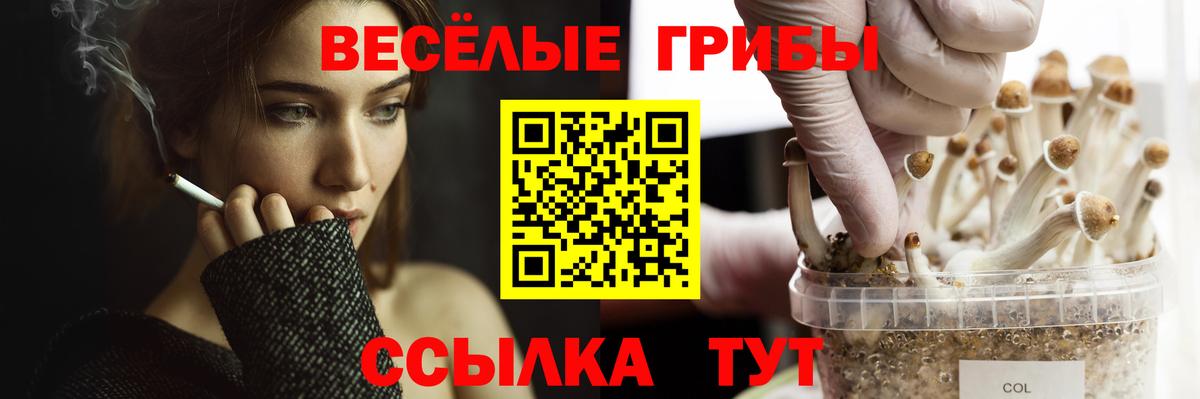Псилоцибиновые грибы GOLDEN TEACHER  Галлюциногенные грибы мухоморы  Вход с VPN  Сосновоборск 