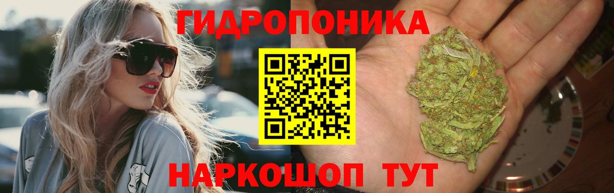 Каннабис семена  Вход с VPN  Сосновоборск  Шишки марихуана гибрид  Конопля планчик 